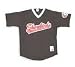 Minor League Baseball Delmarva Shorebirds V Neck Adult Jersey