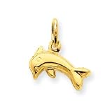 14k Dolphin Charm