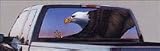 Bald Eagle rear window graphic