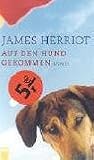 Auf den Hund gekommen