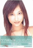 新人×ギリギリモザイク ウブな新人の恥じらいセックス [DVD]