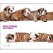 Bulldog 2009 Deluxe Wall Calendar