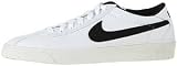 Nike Zoom Bruin SB