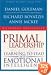Primal Leadership: Realizing the Power of Emotional Intelligence