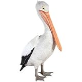 ＦＲＰ動物オブジェ　おすましペリカン / Standing Pelican