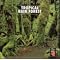 Rainforests 2