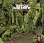 Tropical Rain Forest 2