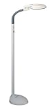 Full Spectrum EasyEye Natural Light Floor Lamp 27Watt