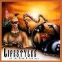 Lifestyles of the Slow & Low 2