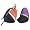 Purple/Black