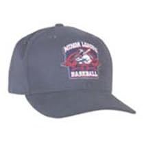 Minor League Baseball Cap