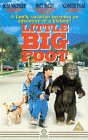Little Big Foot [UK-Import] [VHS]