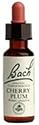 Cherry Plum ( Prunus cerasifera ) 20 ml Bach Flower Essences