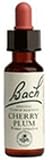 Cherry Plum ( Prunus cerasifera ) 20 ml Bach Flower Essences