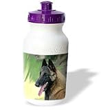 Dogs Belgian Malinois - Belgian Malinois Portrait - Water Bottles