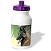 Dogs Belgian Malinois - Belgian Malinois Portrait - Water Bottles