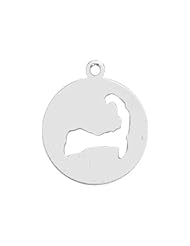 Cape Cod Disc Charm