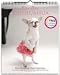 chihuahua23 - Cha Cha Chihuahua Greeting Cards 2010 Easel Desk