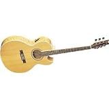 Washburn EA20SDL Acoustic - Electric Guitar ( Natural ) - B0002GTY4K