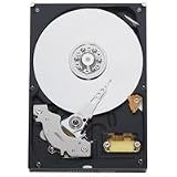 Western Digital 320 GB AV 100 Mb/s 7200 RPM 8 MB Cache Bulk/OEM AV Hard Drive- WD3200AVJB
