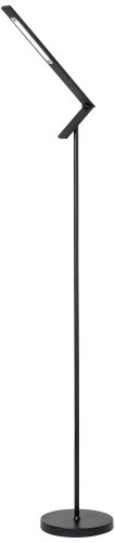 Black Elongated Head LED Floor Lamp