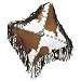 Apache Decorative Western Leather Pillow