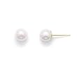 5.5-6mm AAA Akoya Pearls 14k Yellow Gold Earring