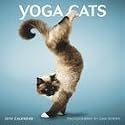 Yoga Cats 2010 Wall Calendar 12" X 12"