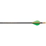 Archery: Beman ICS Energy with Blazers Per 6