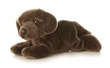 Truffles Chocolate Labrador Puppy Dog 12