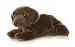   - Truffles Chocolate Labrador Puppy Dog 12