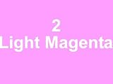 2 x T0486 Light Magenta Compatible Ink Cartridges for Epson Stylus Photo R200 R220 R300 R300M R320 R325 R340 R350 RX500 RX600 RX620 RX640