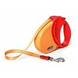 Leash Expressn Rtrctbl Allbelt,Dog leashes, Dog Leads, Dog Collars, Dog Harnessess, Dog leashes, Dog Stakes, Dogs, Pet & Supplies
