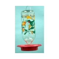 Hummingbird Feeder 32 oz. Boxed Humbird by Best-1