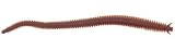 Berkley Gulp! Alive 8 Sandworm - Camo - New