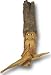 Knock on Wood Spirit Figurine by Richard Wetherbee - ws016