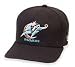 Search : Washington Wizards Adjustable Cap by New Era