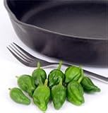 Pepper Hot Padron 30 seeds per Packet