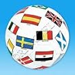 Full Sized World International Soccer Ball