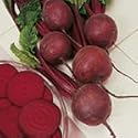 SUTTONS SEEDS: Beetroot F1 Pablo Seeds (180 seeds)