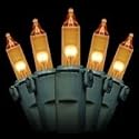 Case of 24 Packs of Replacement Miniature Light Bulbs- 2.5v Gold