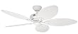 Hunter 23979 Bayview 54-Inch Five-Blade Ceiling Fan, White Wicker Palm Leaf