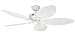 Search : Hunter Bayview 54-Inch Five-Blade Ceiling Fan, White Wicker Palm Leaf # 23979