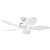 Hunter 23979 Bayview 54-Inch Five-Blade Ceiling Fan, White Wicker Palm Leaf