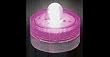 Box of 10 Acolyte Submersible Floralyte Pink
