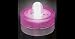Box of 10 Acolyte Submersible Floralyte Pink - On Sale Now!