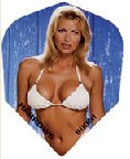Harrows Bikini Standard Dart Flights (1 Set Of 3) 1501