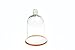 Keep It Simple With Katie Brown Glass Garden Cloche 8.75-inch Tall
