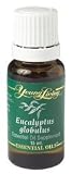 21QpJ9pMAbL. SL160  Eucalyptus Globulus  15ML