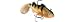 Storm Fishing Lures Wildeye Live 3/16oz 2 Perch 3 Pack